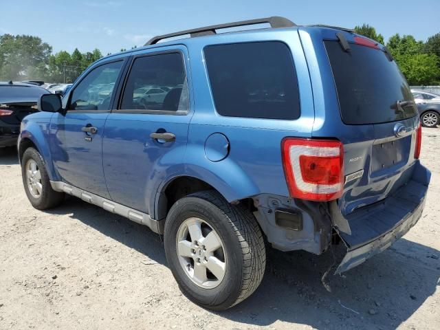 2009 Ford Escape XLT