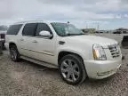 2013 Cadillac Escalade ESV Luxury