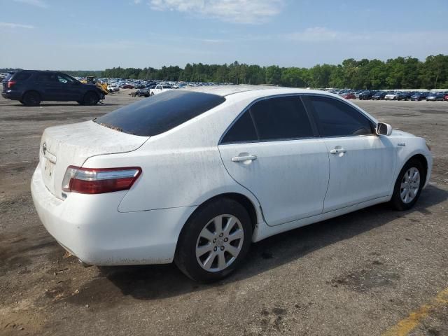 2009 Toyota Camry Hybrid