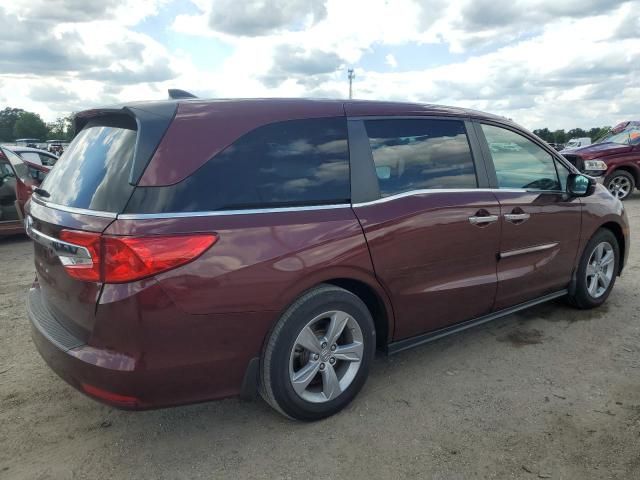 2019 Honda Odyssey EXL