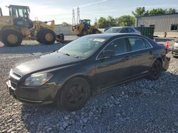 Chevrolet Malibu 1lt salvage cars for sale: 2009 Chevrolet Malibu 1LT