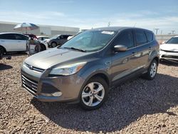 Salvage cars for sale from Copart Phoenix, AZ: 2014 Ford Escape SE