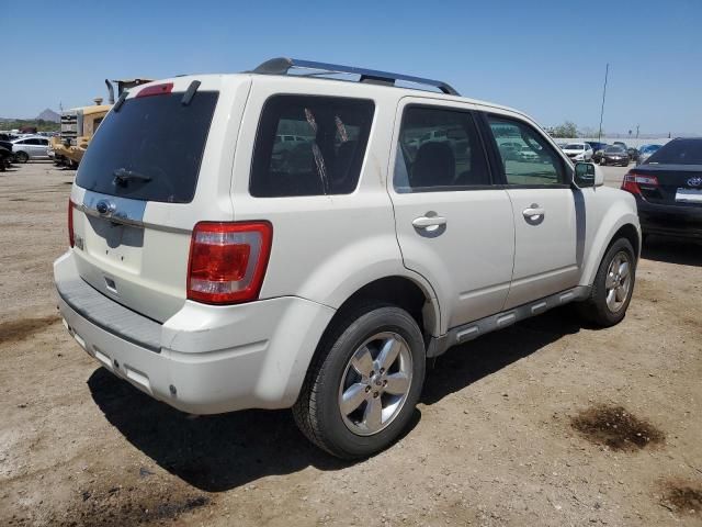 2010 Ford Escape Limited