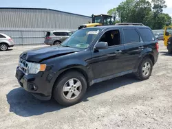 Salvage cars for sale at Gastonia, NC auction: 2012 Ford Escape XLT
