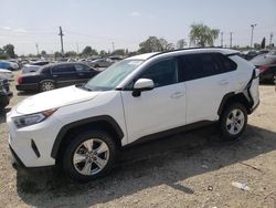 Salvage cars for sale at Los Angeles, CA auction: 2021 Toyota Rav4 XLE