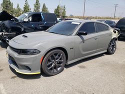 Salvage cars for sale from Copart Rancho Cucamonga, CA: 2023 Dodge Charger R/T