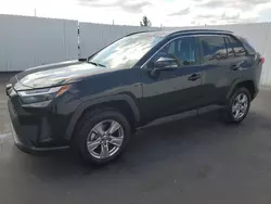 Salvage cars for sale from Copart Miami, FL: 2023 Toyota Rav4 XLE