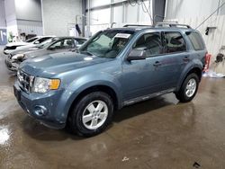 Salvage cars for sale at Ham Lake, MN auction: 2010 Ford Escape XLT