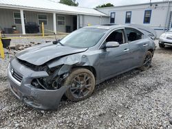 Salvage cars for sale at Prairie Grove, AR auction: 2014 Nissan Maxima S