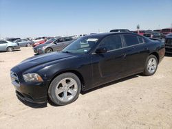 Salvage cars for sale from Copart Amarillo, TX: 2013 Dodge Charger SXT