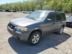 Salvage cars for sale at Marlboro, NY auction: 2005 Ford Escape XLT