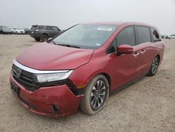 Salvage cars for sale at Houston, TX auction: 2022 Honda Odyssey EXL