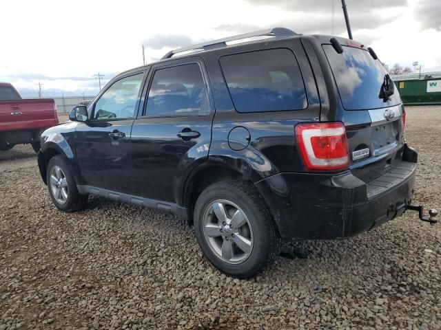 2010 Ford Escape Limited