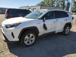 Salvage cars for sale at Arlington, WA auction: 2020 Toyota Rav4 XLE