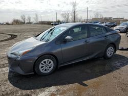 Salvage cars for sale from Copart Montreal Est, QC: 2016 Toyota Prius