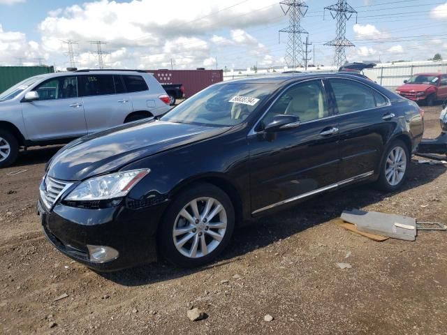 2010 Lexus ES 350