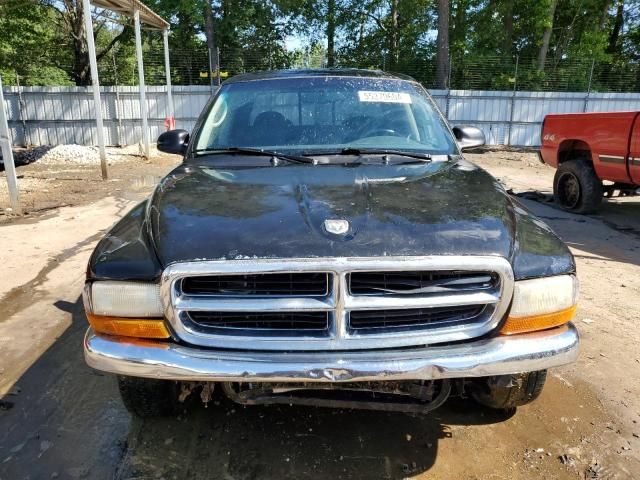 2001 Dodge Dakota Quattro