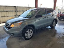 Salvage cars for sale at Homestead, FL auction: 2010 Honda CR-V EX
