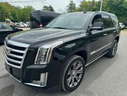 Vehiculos salvage en venta de Copart North Billerica, MA: 2016 Cadillac Escalade Premium