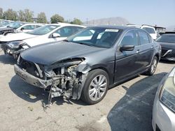 Salvage cars for sale at Colton, CA auction: 2011 Honda Accord EXL
