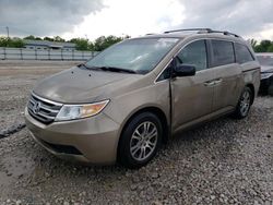 Salvage cars for sale at Louisville, KY auction: 2012 Honda Odyssey EXL