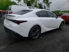 2023 Lexus IS 350 F-Sport