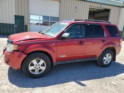 Salvage cars for sale from Copart Angola, NY: 2008 Ford Escape XLT