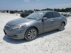 2012 Honda Accord EXL en venta en New Braunfels, TX