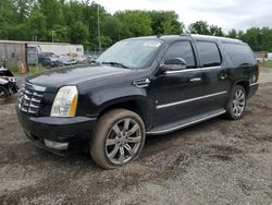 Salvage cars for sale from Copart Finksburg, MD: 2007 Cadillac Escalade ESV