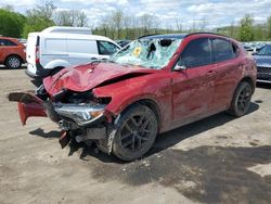 Salvage cars for sale at Marlboro, NY auction: 2020 Alfa Romeo Stelvio TI