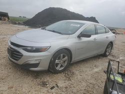 Salvage cars for sale at Temple, TX auction: 2019 Chevrolet Malibu LS