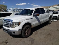 Salvage cars for sale at Albuquerque, NM auction: 2009 Ford F150 Supercrew