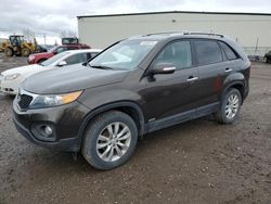 Salvage cars for sale from Copart Rocky View County, AB: 2011 KIA Sorento EX