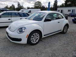Salvage cars for sale at Graham, WA auction: 2015 Volkswagen Beetle 1.8T