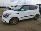 2012 KIA Soul +