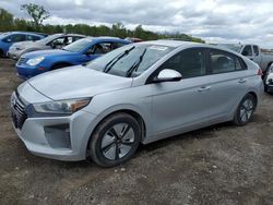 Hail Damaged Cars for sale at auction: 2017 Hyundai Ioniq Blue