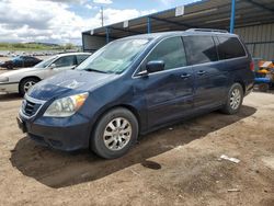 Salvage cars for sale at Colorado Springs, CO auction: 2010 Honda Odyssey EXL