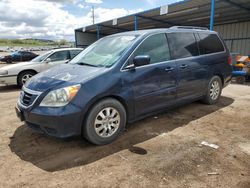 Honda Odyssey exl salvage cars for sale: 2010 Honda Odyssey EXL