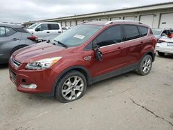 Vehiculos salvage en venta de Copart Louisville, KY: 2016 Ford Escape Titanium