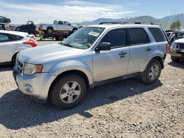 2010 Ford Escape XLT