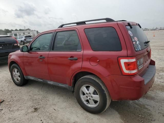 2011 Ford Escape XLT