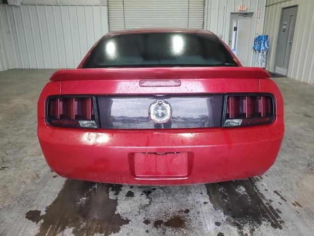 2005 Ford Mustang