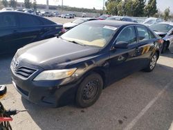 Vehiculos salvage en venta de Copart Rancho Cucamonga, CA: 2010 Toyota Camry Base