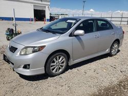 Toyota salvage cars for sale: 2010 Toyota Corolla Base