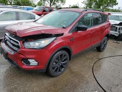 Salvage cars for sale at Bridgeton, MO auction: 2019 Ford Escape SE