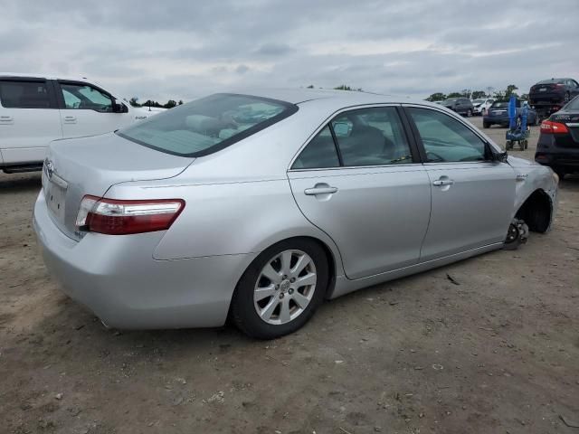 2009 Toyota Camry Hybrid