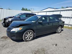 Salvage cars for sale at Albany, NY auction: 2010 Toyota Camry Base