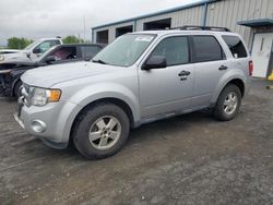 Salvage cars for sale at Chambersburg, PA auction: 2012 Ford Escape XLT