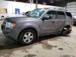 Salvage cars for sale at Blaine, MN auction: 2010 Ford Escape XLT