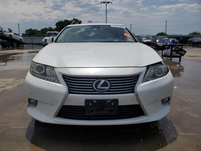 2013 Lexus ES 300H